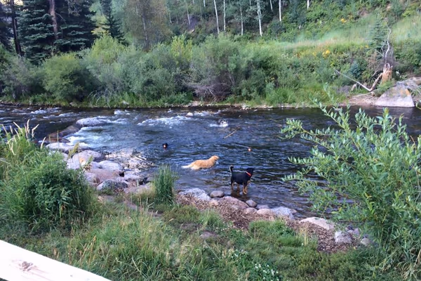 Stephens Park (West Vail Dog Park)